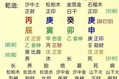 八字 怎麼看